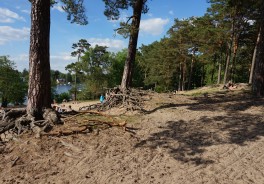 Kleiner Müggelsee, Strandbad - Foto