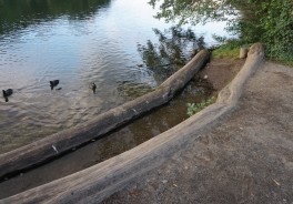 Uferbereich mit Holzbefestigung