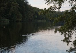 Blick auf den Schlachtensee am frühen Abend im Spätsommer