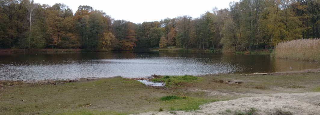 Jungfernheideteich Ostufer (Baden verboten) - Foto