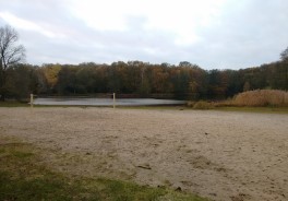 Jungfernheideteich Ostufer (Baden verboten) - Foto