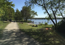 Grunewaldturm - Foto