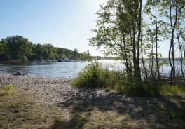 Große Steinlanke - Foto