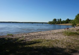 Große Steinlanke - Foto