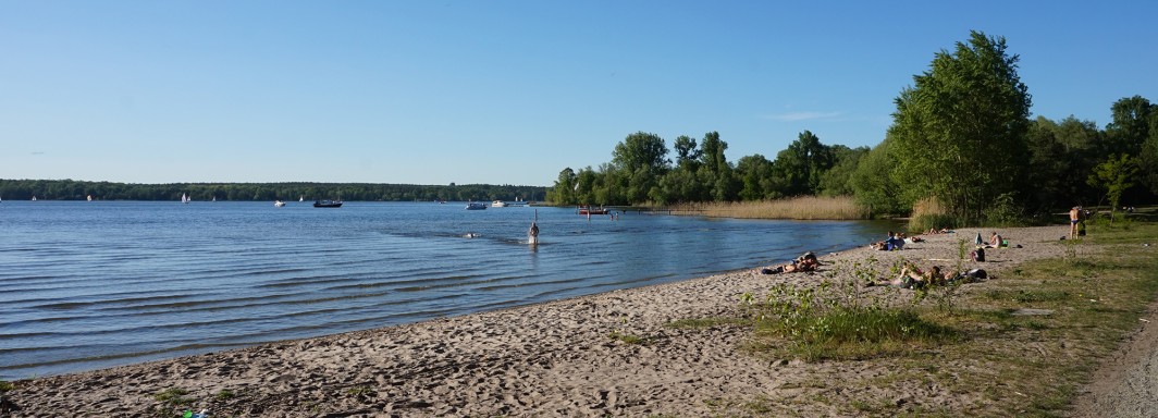 Große Steinlanke - Foto