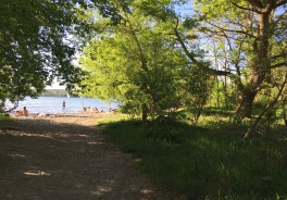 Radfahrerwiese - Foto