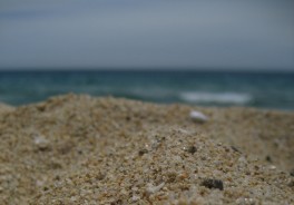 Playa De Monsolis-sant Joan, Montgat Nord - Foto