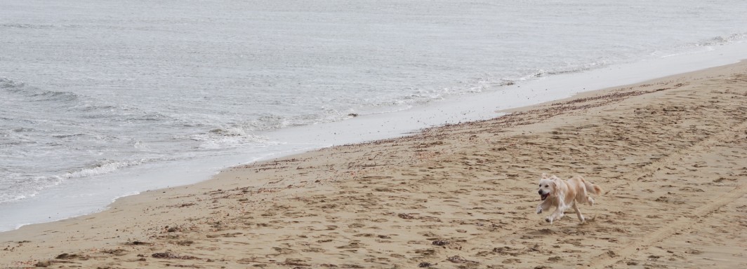 Lady's Mile Beach, Limassol - Foto