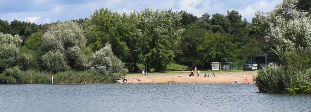 [Großer Spektesee 2017 von Deizung unter CC BY-SA 4.0](https://creativecommons.org/licenses/by-sa/4.0/deed.en)