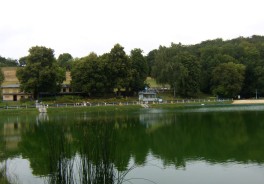 [von Christine Türpitz unter CC BY 3.0, Quelle: Wikimedia Commons](https://creativecommons.org/licenses/by/3.0)