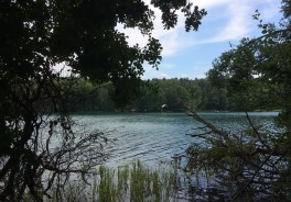 Foto: Philipp B. - Vielen Dank!