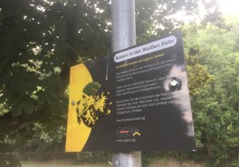 Elster-Strand Gera - Foto