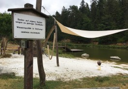 Mühlweiher Saldenburg - Foto