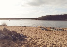 Zeulenroda Bio-Seehotel Strandbad - Foto