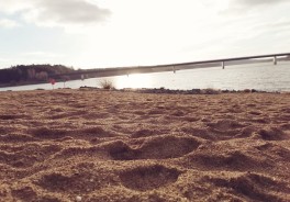 Zeulenroda Bio-Seehotel Strandbad - Foto