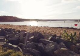 Zeulenroda Bio-Seehotel Strandbad - Foto