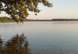 Der Behler See bei Timmdorf. Foto von Monika Schnack-Maschmann. Vielen Dank!