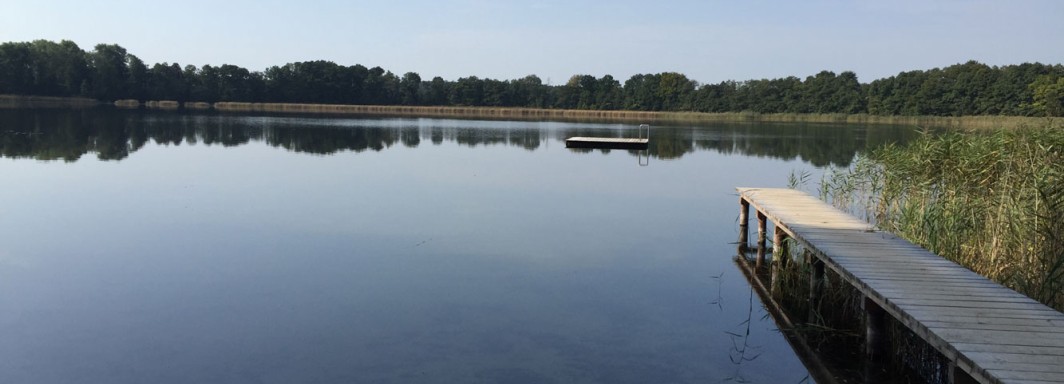 Derliener See - Foto