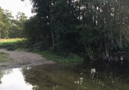 Derliener See - Foto