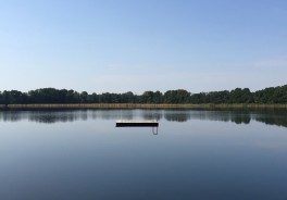 Derliener See - Foto