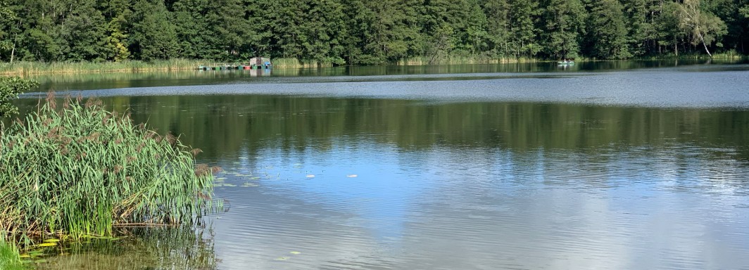 Foto: Swimcheck Team