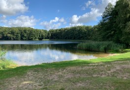 Foto: Swimcheck Team