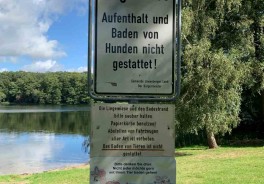 Foto: Swimcheck Team