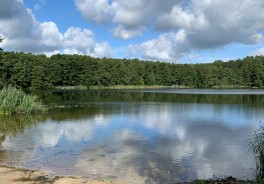 Foto: Swimcheck Team