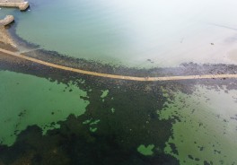 Mounts Bay Marazion - Foto
