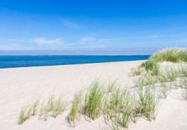 Strand Sylt, List-oststrand - Foto