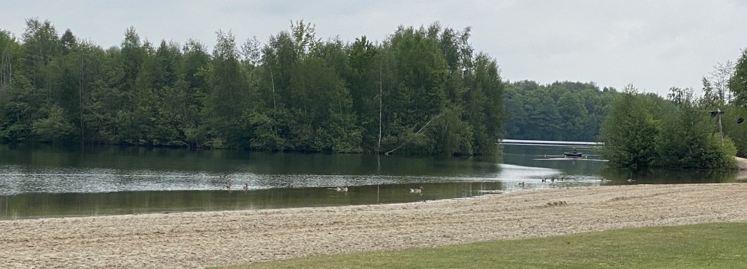 Foto: Rabea Klaschka - Vielen Dank!