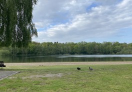 Foto: Rabea Klaschka - Vielen Dank!