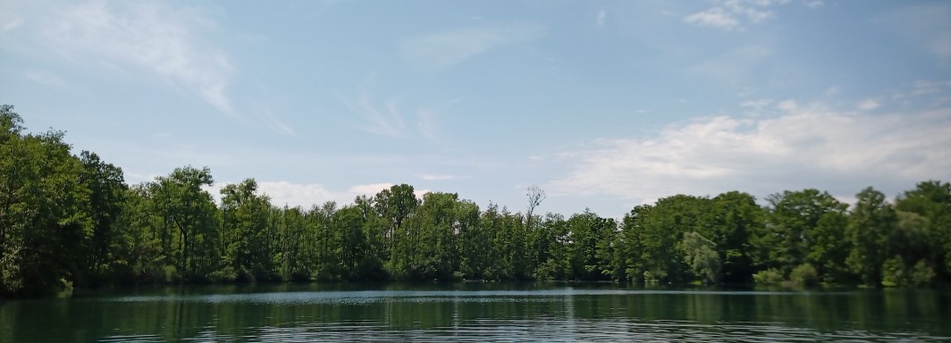 Foto: Detlef Potratz - Vielen Dank!