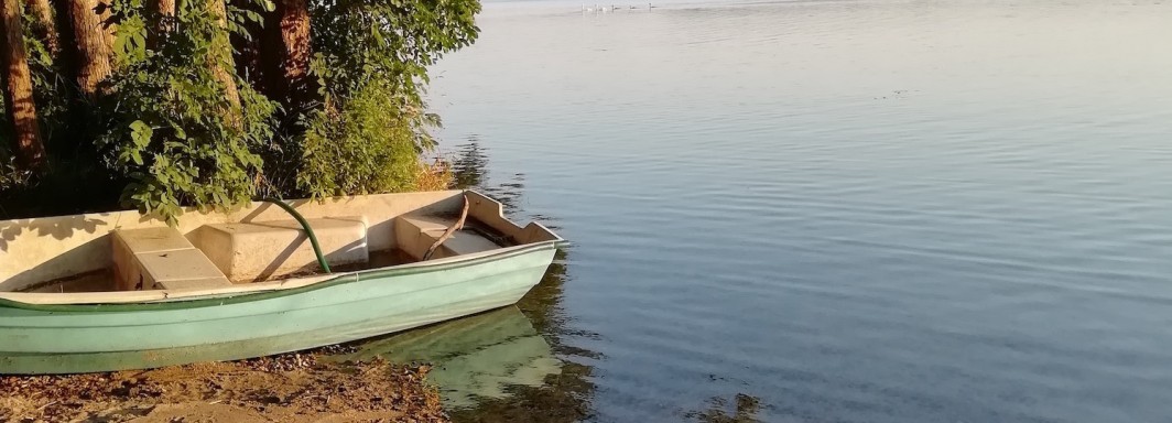 Foto: Monika Schnack-Maschmann - Vielen Dank!