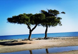 Foto: Sabine Niederreuther - Vielen Dank!