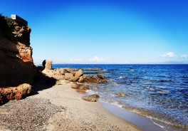 Foto: Sabine Niederreuther - Vielen Dank!