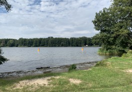 Foto: Swimcheck Team