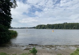 Foto: Swimcheck Team