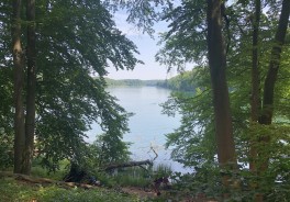 Foto: Swimcheck Team