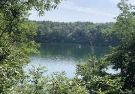 Foto: Swimcheck Team