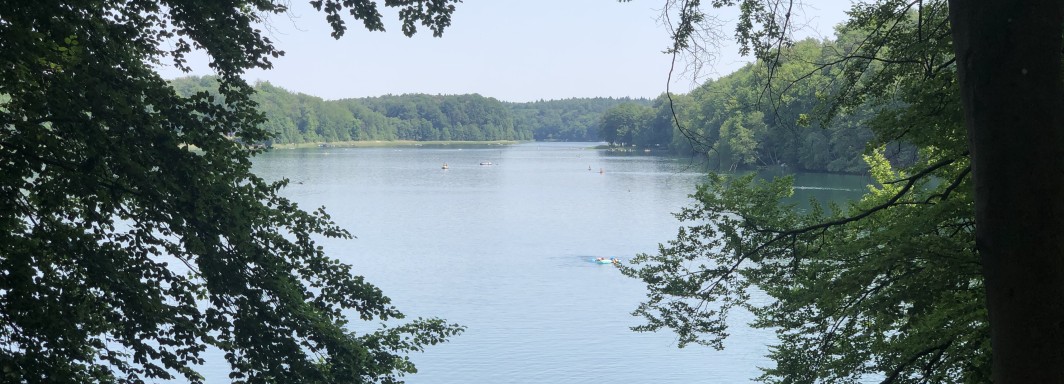 Foto: Swimcheck Team