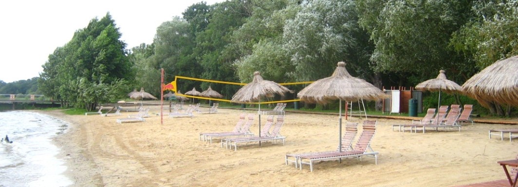 Foto: Botaurus stellaris, Public domain, via Wikimedia Commons