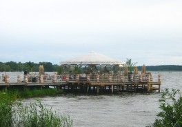 Foto: Botaurus stellaris, Public domain, via Wikimedia Commons