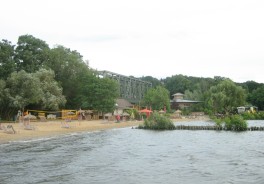 Foto: Botaurus stellaris, Public domain, via Wikimedia Commons