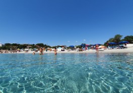 Foto: O Riba - Vielen Dank!