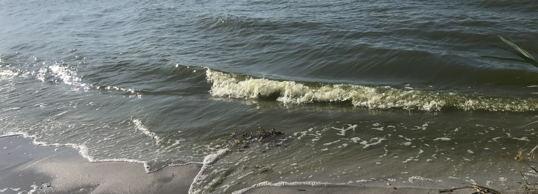 Foto: heimesb - Vielen Dank!