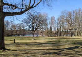 Groß Glienicker See, südlich - Foto