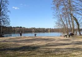 Groß Glienicker See, südlich - Foto