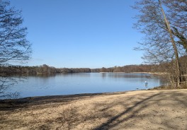 Groß Glienicker See, südlich - Foto