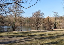 Groß Glienicker See, nördlich (Pferdekoppel) - Foto